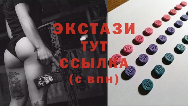 индика Лабытнанги