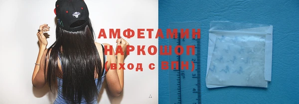 индика Лабытнанги