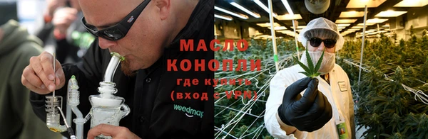 индика Лабытнанги